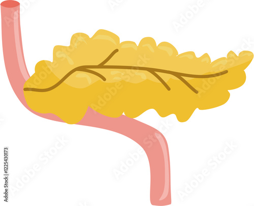 pancreas icon