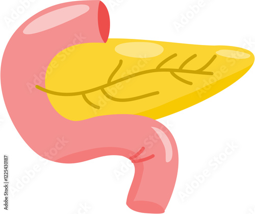 pancreas icon
