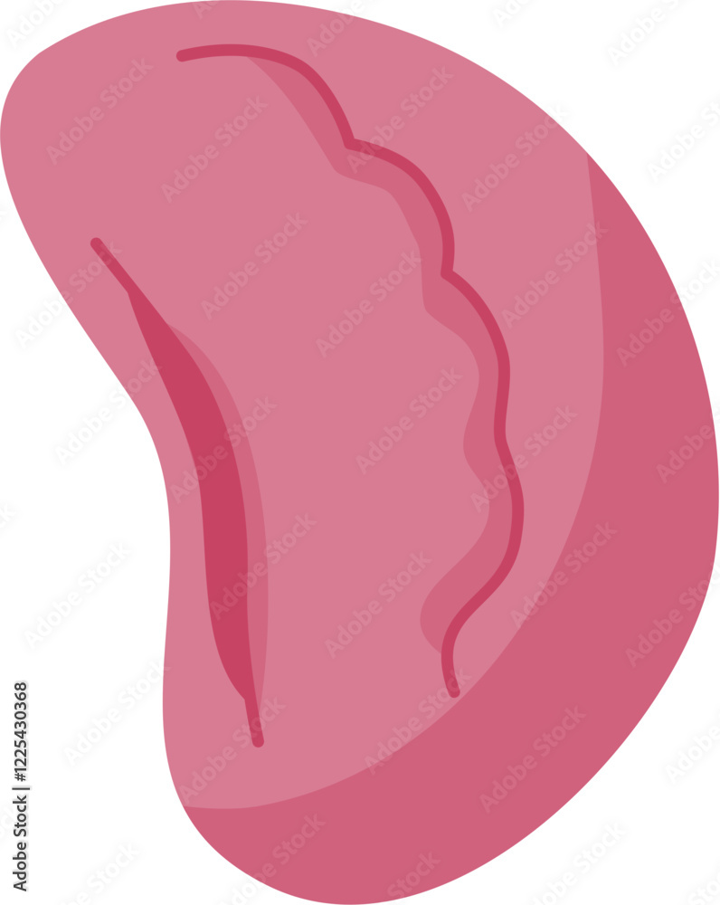 spleen icon spleen icon