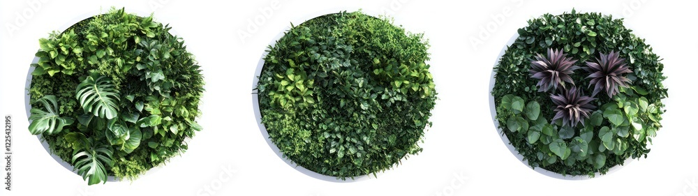 Obraz premium Three Circular Living Walls Display Diverse Greenery