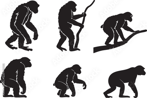 Variant style of chimpanzee silhouette vector illustration, isolated on a white background.