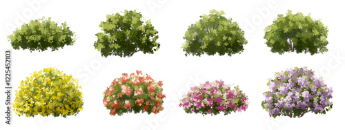 Vertor set of spring blossom tree,blooming plants side view for landscape elevation and section,eco environment concept design,watercolor meadows illustration,colorful season