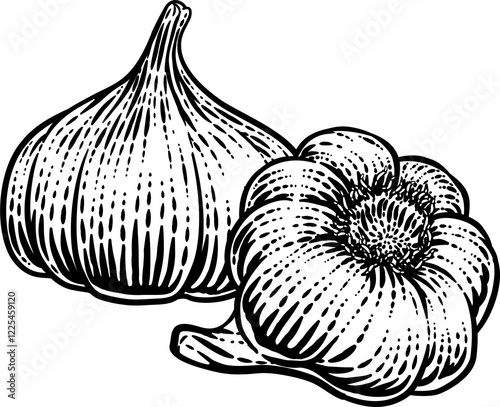 Garlic Vegetable Vintage Wo...