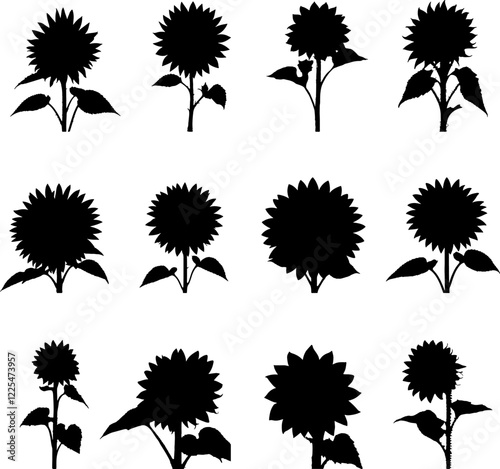 A Blooming sunflower silhouette with leaves