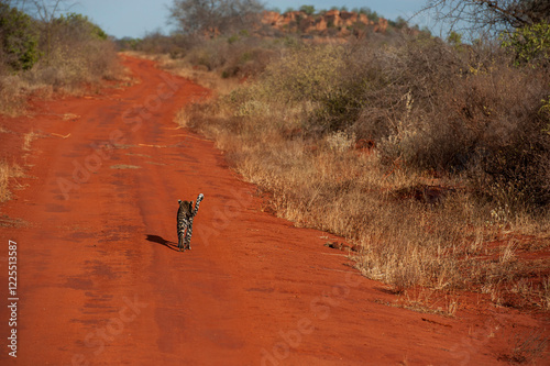 Leopard trail in the mountains photo