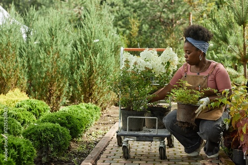 Full length of Black female horticulturist on squat holding potted shrubs removing plants from cart while repotting bushes and flowers into soil in garden