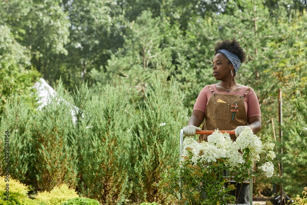 © Seventyfour - Medium shot of female African American horticulturalist in apron transporting flowers and shrubs on cart, while working in garden captured against lively greenery of plant nursery © Seventyfour - Medium shot of female African American horticulturalist in apron transporting flowers and shrubs on cart, while working in garden captured against lively greenery of plant nursery