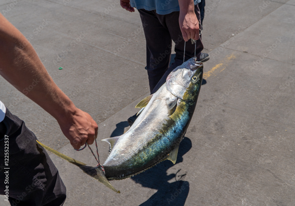 Hands Carrying a Freshly Caught Fish Through the City