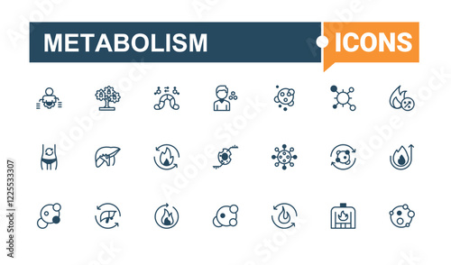 Metabolism icons set in linear style. Contains such icons as diet, health, carbohydrate, nutrition, scale, fat and more. Web icons. Solid line editable stroke. Vector line and solid icons.