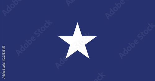 Bonnie Blue Flag Vector Illustration Premium Quality