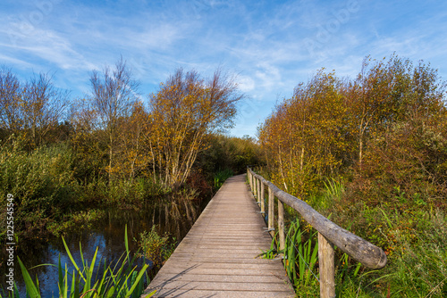 Obraz na płótnie Holzsteg, der über Wasser und Sumpf in den Wald führt w salonie
