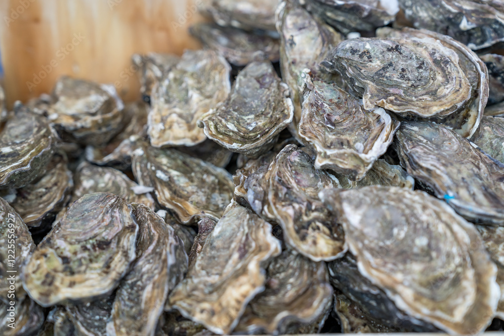 Freshly harvested oysters stacked on a wooden table at a seaside market Freshly harvested oysters stacked on a wooden table at a seaside market