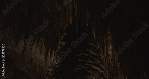 Carlsbad Caverns Column Ceiling