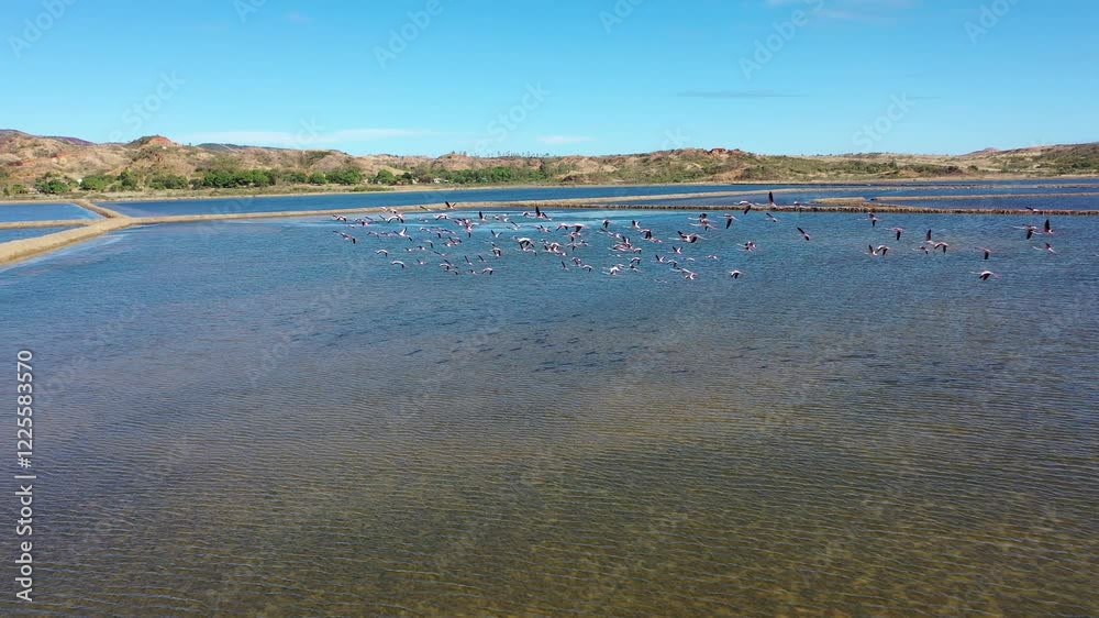 Aerial view of serene salt lake with flock of flamingos and tranquil wetlands, Diana, Madagascar. Aerial view of serene salt lake with flock of flamingos and tranquil wetlands, Diana, Madagascar.