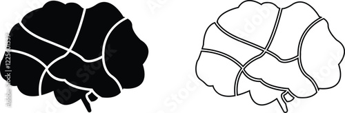 Human internal organ anatomy brain con Set. Brain mental healthcare sign collection flat and line vector isolated on transparent background. Science symbol skin layer intestine linear Pictogram.