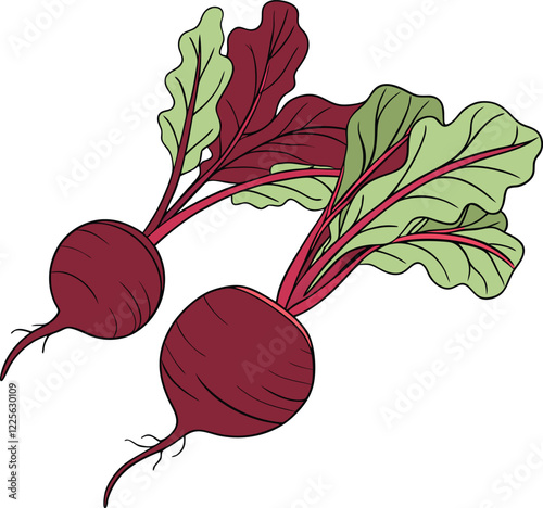 Fresh Beetroots design