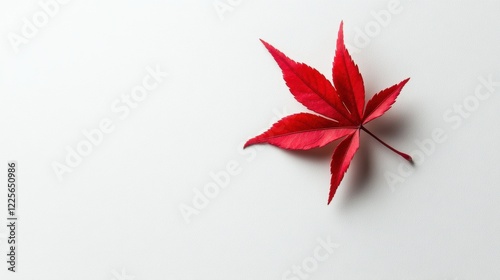 Wallpaper Mural Vibrant Red Maple Leaf Isolated on Clean White Background Torontodigital.ca