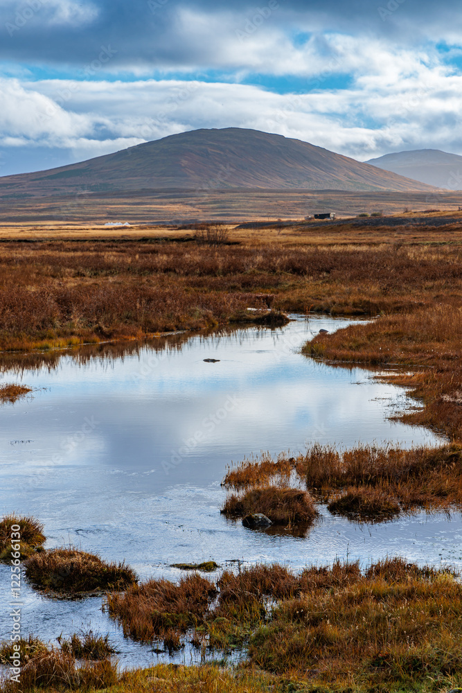 Typical autumn lowland landscape on the west coast of Iceland