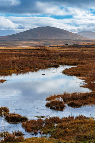 Obraz na płótnie Typical autumn lowland landscape on the west coast of Iceland w salonie