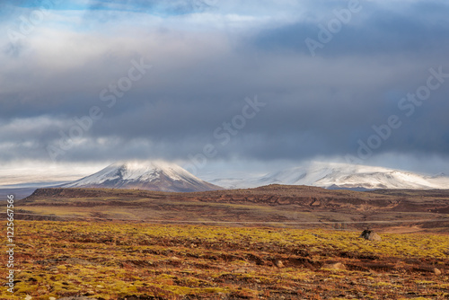 Obraz na płótnie The area around Lake Thingvallavatn in the west of Iceland w salonie