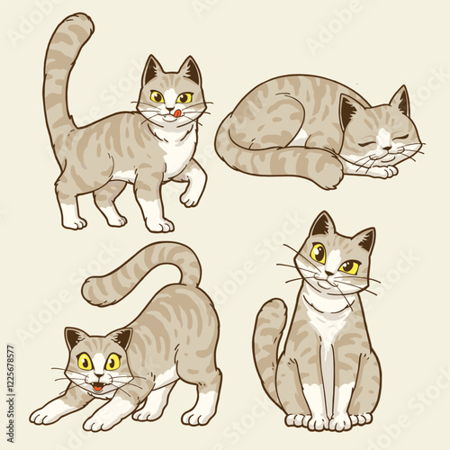 cute american shorthair cats character illustration