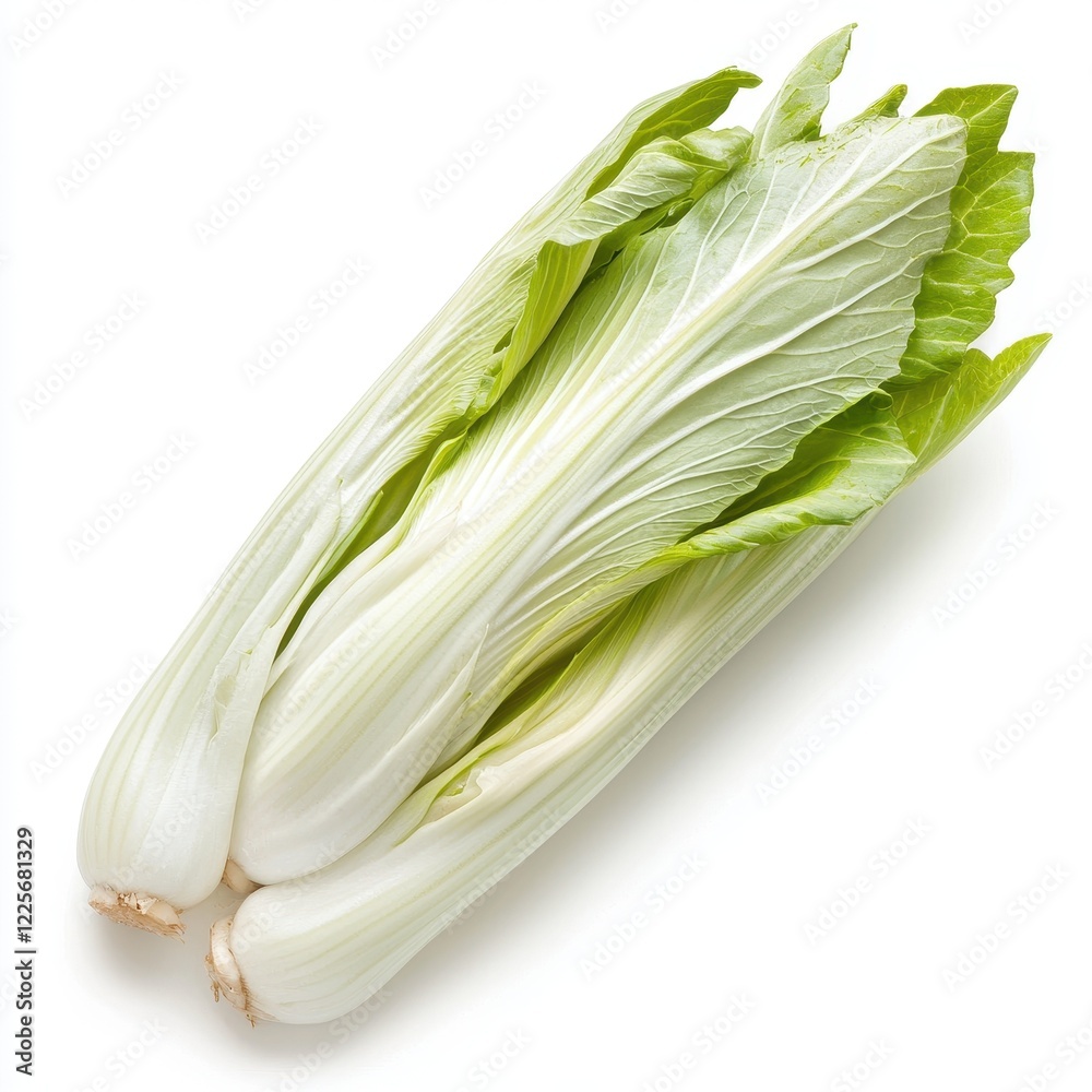 Fresh Bok Choy Cabbage Isolated on White Background Fresh Bok Choy Cabbage Isolated on White Background