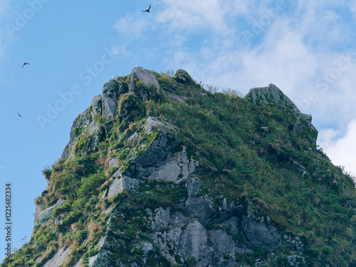 Close-up photo of the stunning mountain peak in Kenai Fjords National Park, Alaska, USA photo