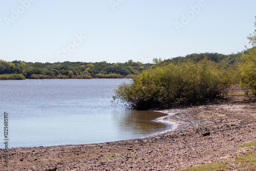 Río y playa photo