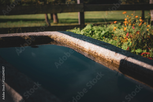 Wasserbecken aus Stein inmitten Natur