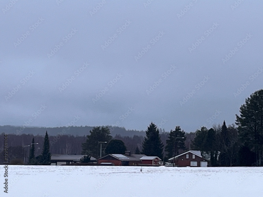 Fototapeta premium snow covered house