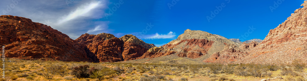 Fototapeta premium Red Rock Canyon National Conservation Area near Las Vegas, Nevada