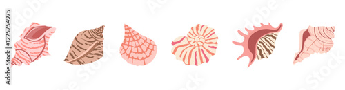 Sea shell vector set. Ocean exotic underwater seashell conch aquatic mollusk, sea spiral snail collection. Tropical beach shells. Modern flat style isolated on white background.