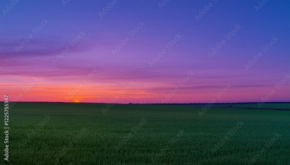 보랏빛 저녁 하늘과 초록 들판