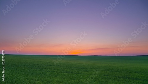 보랏빛 저녁 하늘과 초록 들판