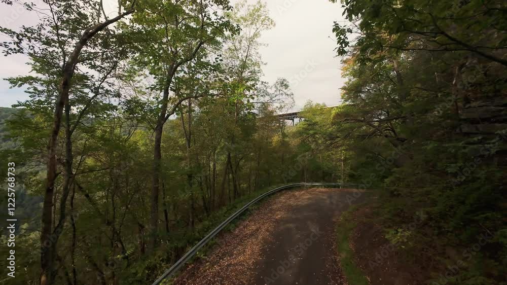 Forest Path with Distant View of New River Gorge Bridge rustic forest trail leading through dense greenery with glimpse of New River Gorge Bridge in distance under overcast sky Forest Path with Distant View of New River Gorge Bridge rustic forest trail leading through dense greenery with glimpse of New River Gorge Bridge in distance under overcast sky
