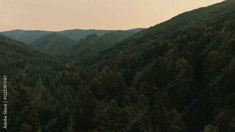 Aerial top view of green trees in the misty forest. Flying over the mountains, valley and pine peaks. Countryside fields, panoramic nature landscape texture. Scenic natural pattern background. Aerial top view of green trees in the misty forest. Flying over the mountains, valley and pine peaks. Countryside fields, panoramic nature landscape texture. Scenic natural pattern background.