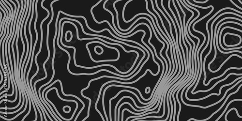 The grey white on black contours vector topography stylized height of the lines. The concept of a conditional geography scheme and the terrain path. Ultra wide. Map vector terrain Illustration.  