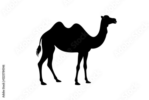 camel, animal, desert, mammal, nature, 