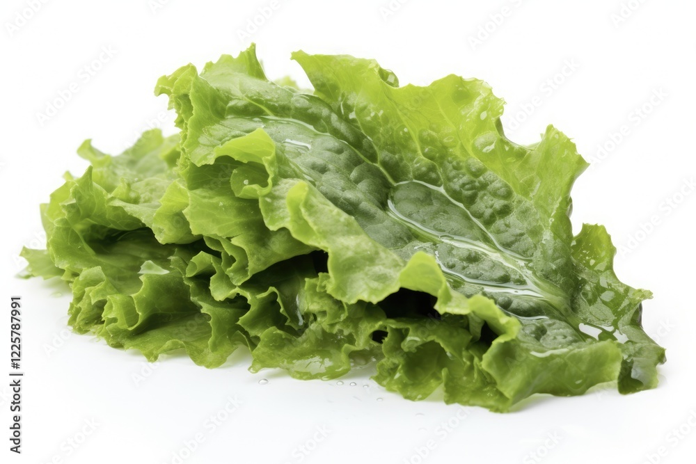 Salted Sea Lettuce Heap on White Background. Preserved Green Vegetable for Healthy Eating. Studio Shot of Sea Lettuce Food Salted Sea Lettuce Heap on White Background. Preserved Green Vegetable for Healthy Eating. Studio Shot of Sea Lettuce Food