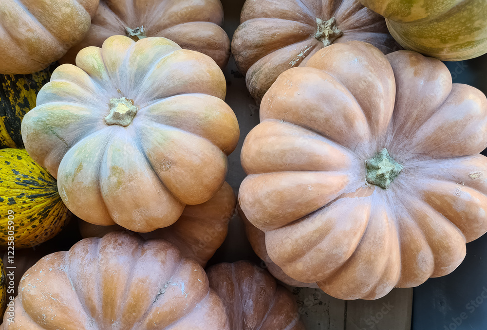 photos of agricultural products,various pumpkins ready for sale in the grocery store. photos of agricultural products,various pumpkins ready for sale in the grocery store.