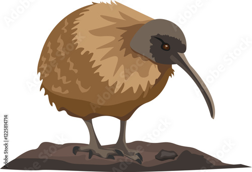 New Zealand Kiwi On Ground Vector Illustration Design