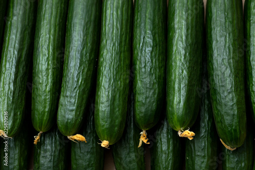 Background of fresh green cucumbers.