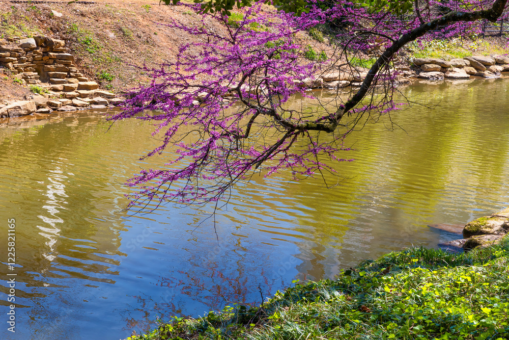 Falls Park, downtown Greenville, South Carolina, USA Falls Park, downtown Greenville, South Carolina, USA