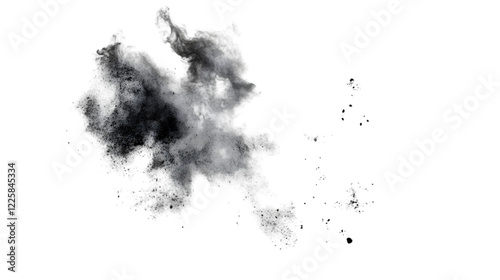 black and white dog