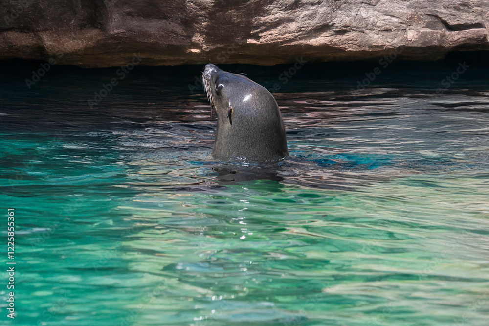 Obraz premium Generated image