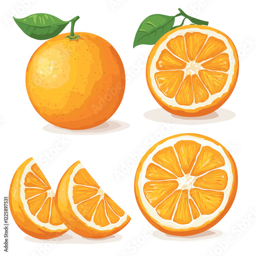 Fresh orange fruit whole and sliced wedges Design elements set watercolour style vector illustration isolated on a white background
