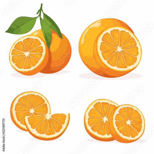 Fresh orange fruit whole and sliced wedges Design elements set watercolour style vector illustration isolated on a white background