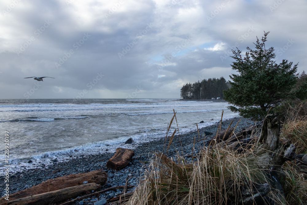 Winter beach scene on Vancouver Island Winter beach scene on Vancouver Island