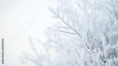 Plain white backgrounds with shades from bright white to off-white, featuring gradients, matte, glossy, frosty, textured, and polished effects with soft, radiant, and subtle patterns.