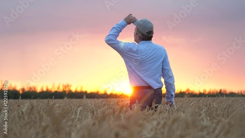 agriculture, wheat field, golden wheat farm field sunset, wheat field, business farm agriculture, agriculture, farmer ready devote life such important necessary cause growing wheat, close up face male